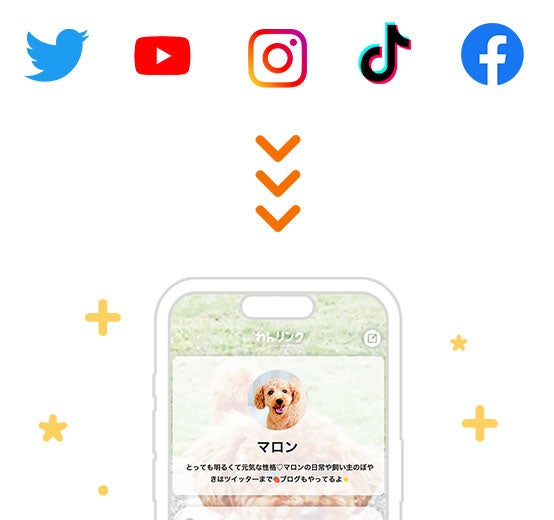 ”犬専用”のプロフィール＆リンクサービス「わんリンク」オープン！犬のメディア「わんちゃんホンポ」が犬の飼い主向けプロフィールサービスをリリース【株式会社ピーネストジャパン】のサブ画像3_▲主要SNSはもちろん、HP・ブロク・ウェブショップなど様々なサイトが登録可能