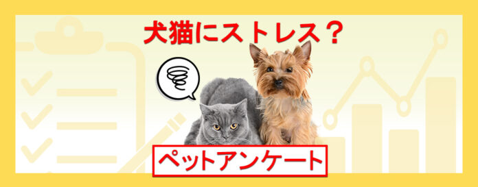犬猫のストレス解消のコツは？台風などの天候変化もストレスになる？『ペット保険比較のピクシー』のメイン画像
