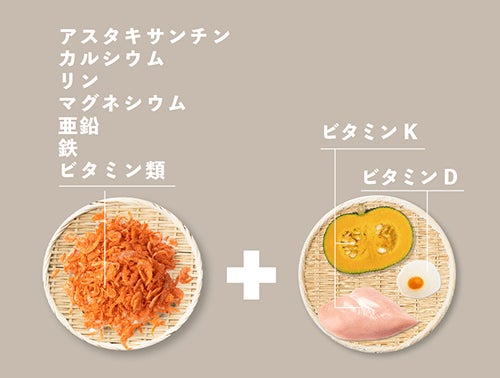 ペトレピフーズが成犬用総合栄養食「ウィリアムドッグフードフレッシュ＜総合栄養食＞」発売！実質送料無料キャンペーンも開催中のサブ画像10