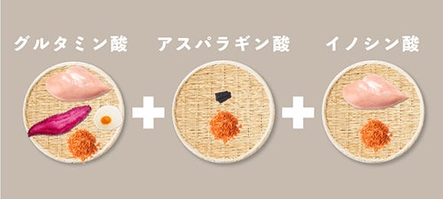 ペトレピフーズが成犬用総合栄養食「ウィリアムドッグフードフレッシュ＜総合栄養食＞」発売！実質送料無料キャンペーンも開催中のサブ画像11