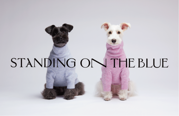 ペットブランド「STANDING ON THE BLUE」10月は3つのドッグイベントに出店のメイン画像