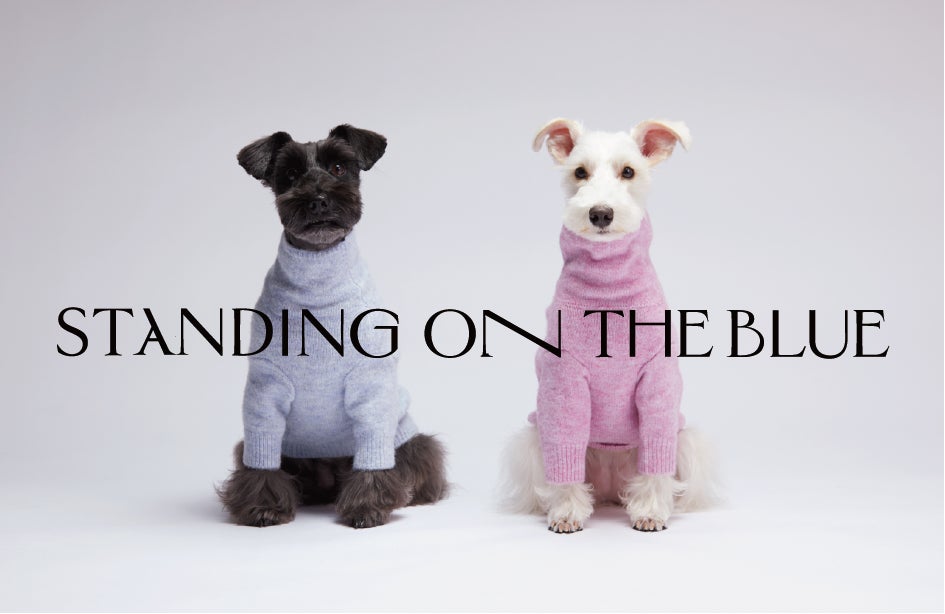 ペットブランド「STANDING ON THE BLUE」10月は3つのドッグイベントに出店のサブ画像1