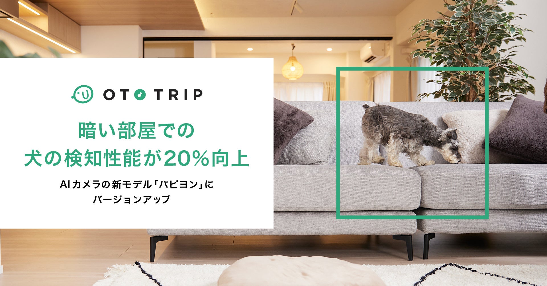 オトとりっぷ（OTO TRIP）のAIカメラが進化。暗い部屋でも愛犬の姿をキャッチ！のサブ画像1