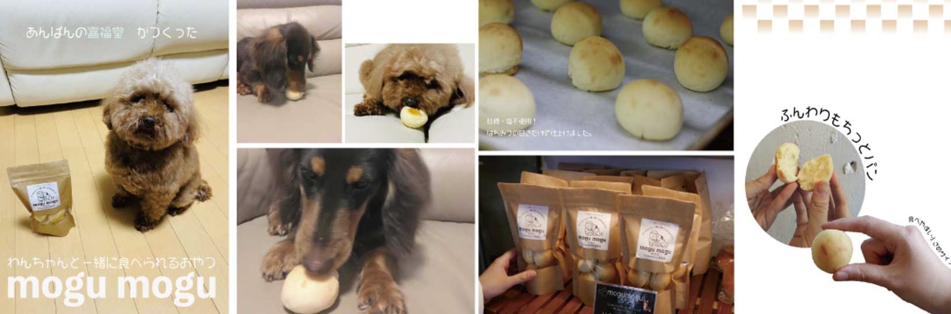 『愛犬家の日常の散歩をゲーム化するアプリ「LOOTaDOG」をより楽しむために』リアル店舗でのゲーミフィケーションや支援サービスを備えた「LOOTaDOG QR」店舗の拡大のサブ画像6