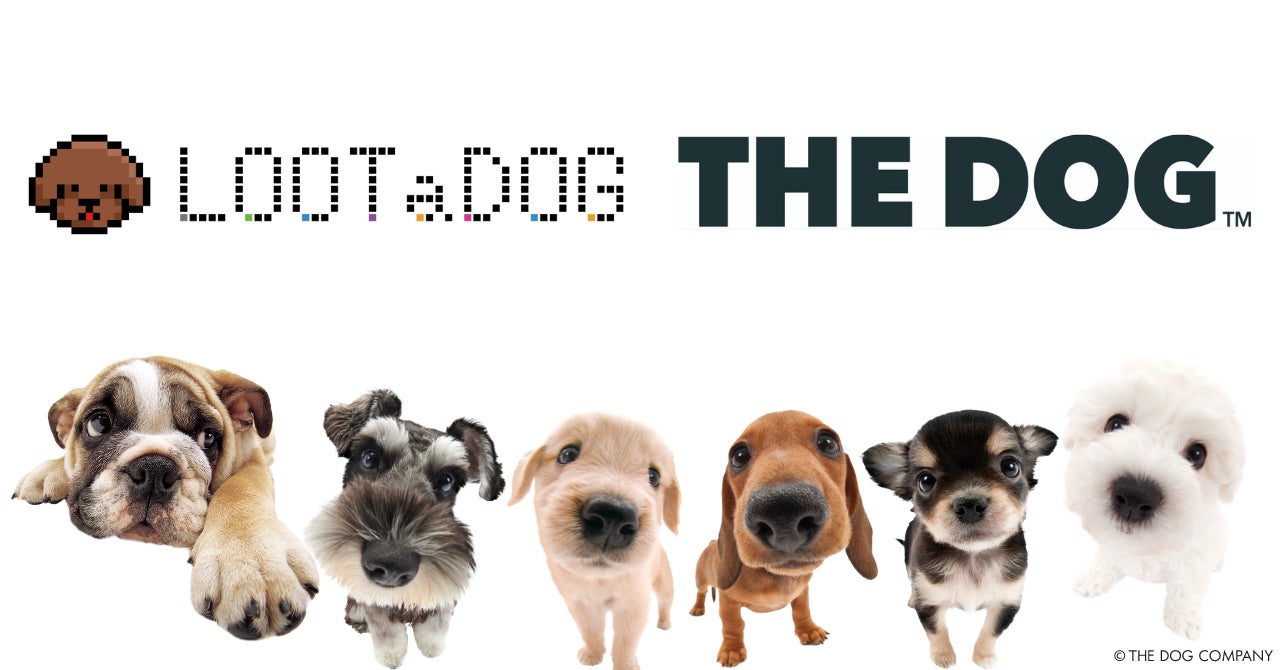 デジタルペットゲーム『LOOTaDOG』を運営するLehmanSoftと魚眼レンズで撮影された犬や猫のユニークな表情が特徴的な『THE DOG™️』によるコラボキャンペーンの開催のお知らせのサブ画像1