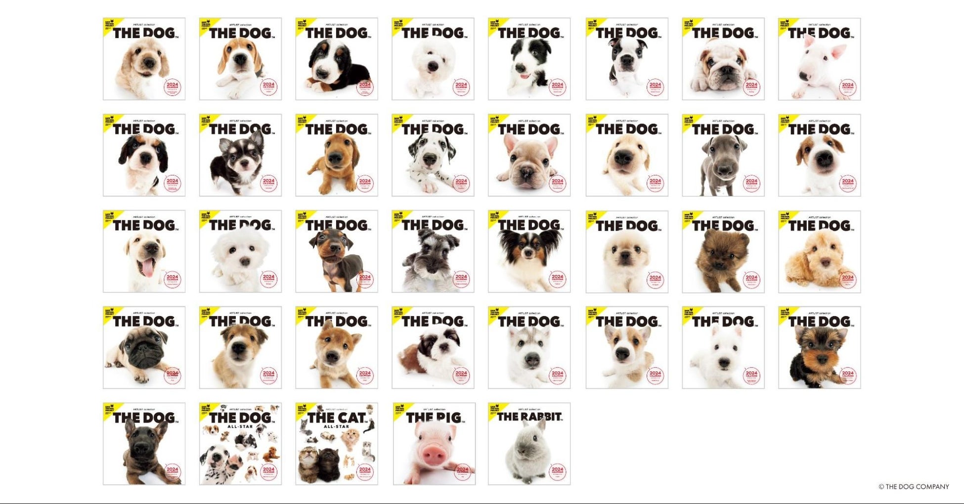 デジタルペットゲーム『LOOTaDOG』を運営するLehmanSoftと魚眼レンズで撮影された犬や猫のユニークな表情が特徴的な『THE DOG™️』によるコラボキャンペーンの開催のお知らせのサブ画像5