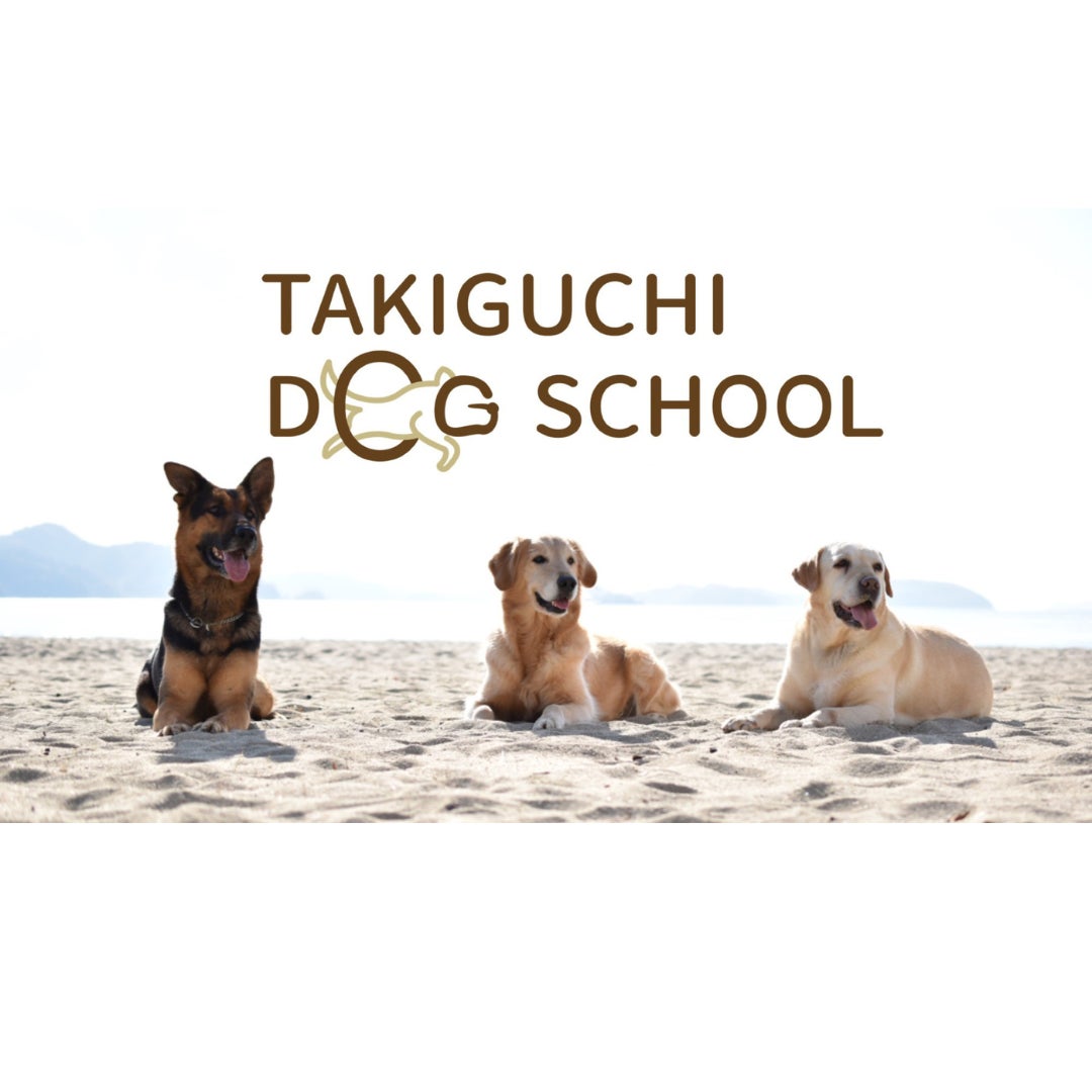 広島県東広島市では初めての、ワンちゃんのことをより深く知ることをテーマとした大型ペットイベント「WANラブフェスタ in 東広島2023」を11月に開催！のサブ画像13