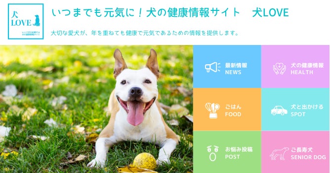 愛犬の健康を考える、webメディア「犬LOVE」誕生　〜ペットロスの原因を緩和〜のサブ画像1