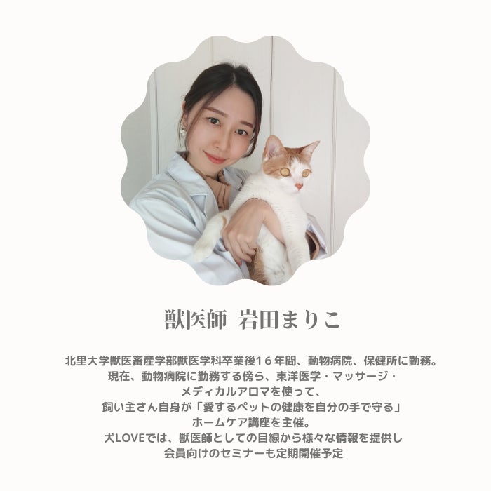 愛犬の健康を考える、webメディア「犬LOVE」誕生　〜ペットロスの原因を緩和〜のサブ画像2