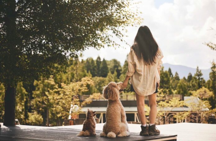 兵庫県丹波市に健康寿命を延ばすことを目的とした犬と人間のための新施設「GROUND ROCK CASTLE グランドロックキャッスル」が9/17（日）オープン！のメイン画像
