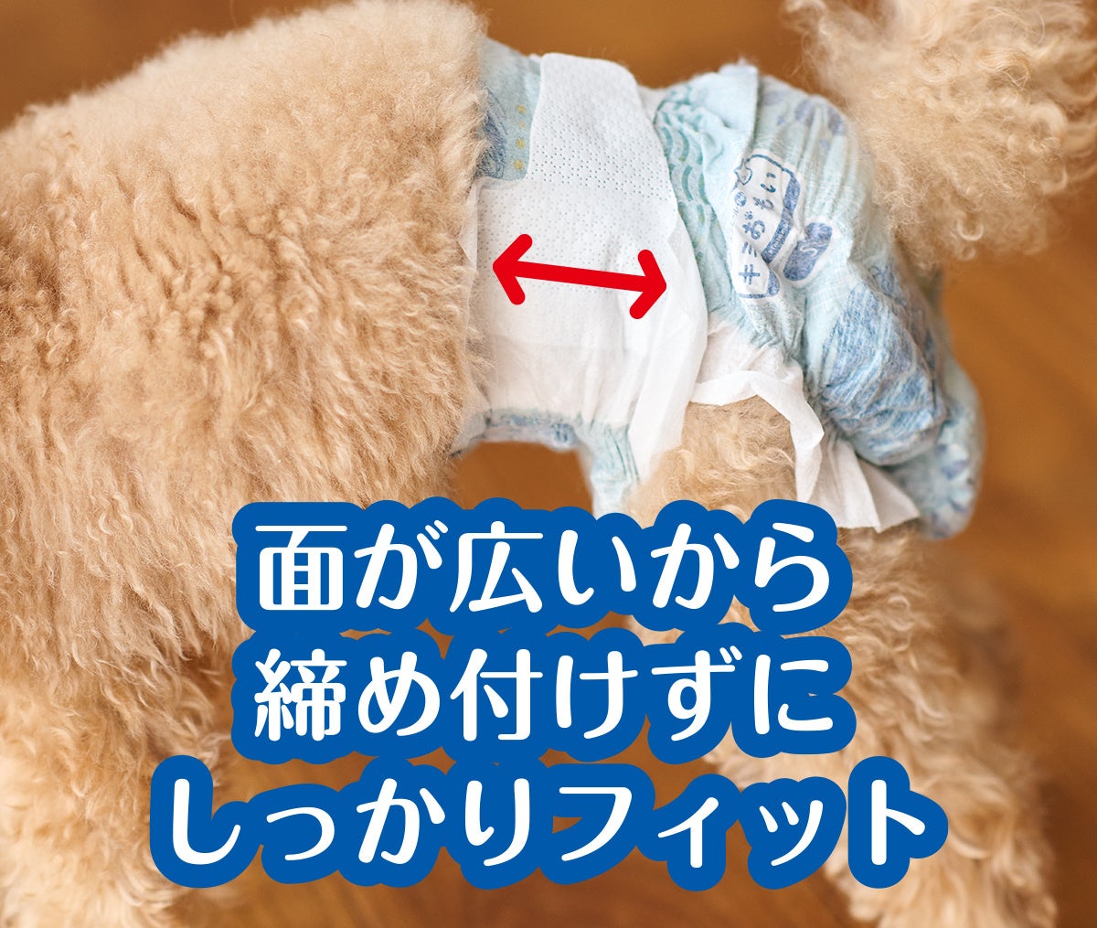エリエールがペットケア事業に本格参入！新ブランド「エリエールPet キミおもい®」誕生のサブ画像13