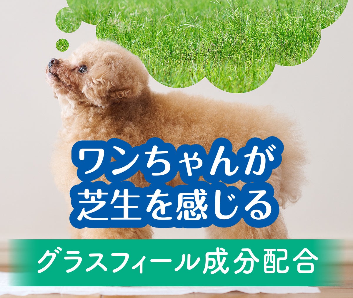 エリエールがペットケア事業に本格参入！新ブランド「エリエールPet キミおもい®」誕生のサブ画像15