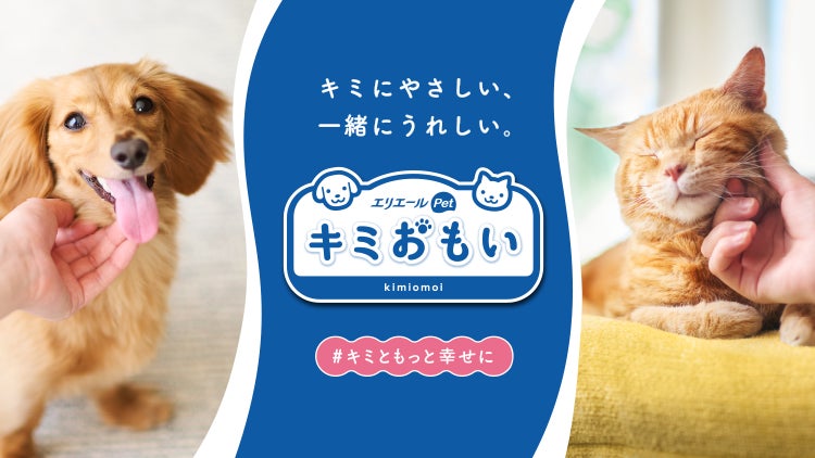 エリエールがペットケア事業に本格参入！新ブランド「エリエールPet キミおもい®」誕生のサブ画像2