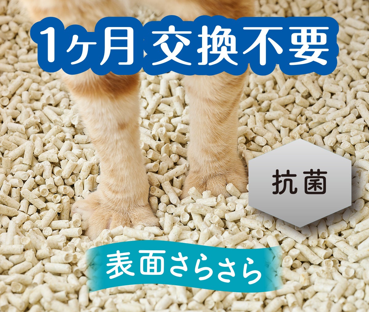 エリエールがペットケア事業に本格参入！新ブランド「エリエールPet キミおもい®」誕生のサブ画像6