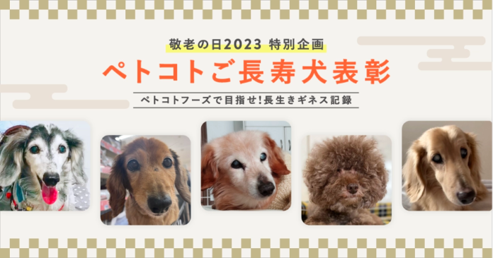フレッシュペットフード「ペトコトフーズ」が敬老の日に合わせて、長寿の愛犬を表彰する「ペトコトご長寿犬 2023」を発表のメイン画像