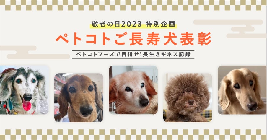 フレッシュペットフード「ペトコトフーズ」が敬老の日に合わせて、長寿の愛犬を表彰する「ペトコトご長寿犬 2023」を発表のサブ画像1
