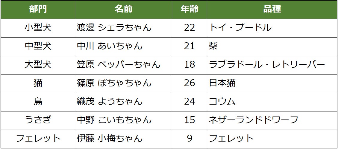 【9/18は敬老の日】最高齢は26歳の日本猫！『ご長寿アルバム』公開のサブ画像1