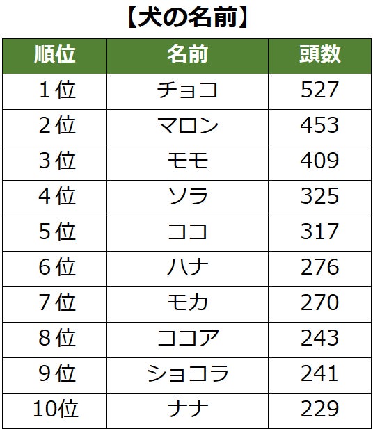 【9/18は敬老の日】最高齢は26歳の日本猫！『ご長寿アルバム』公開のサブ画像5