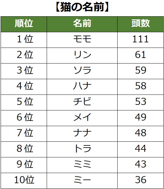 【9/18は敬老の日】最高齢は26歳の日本猫！『ご長寿アルバム』公開のサブ画像6
