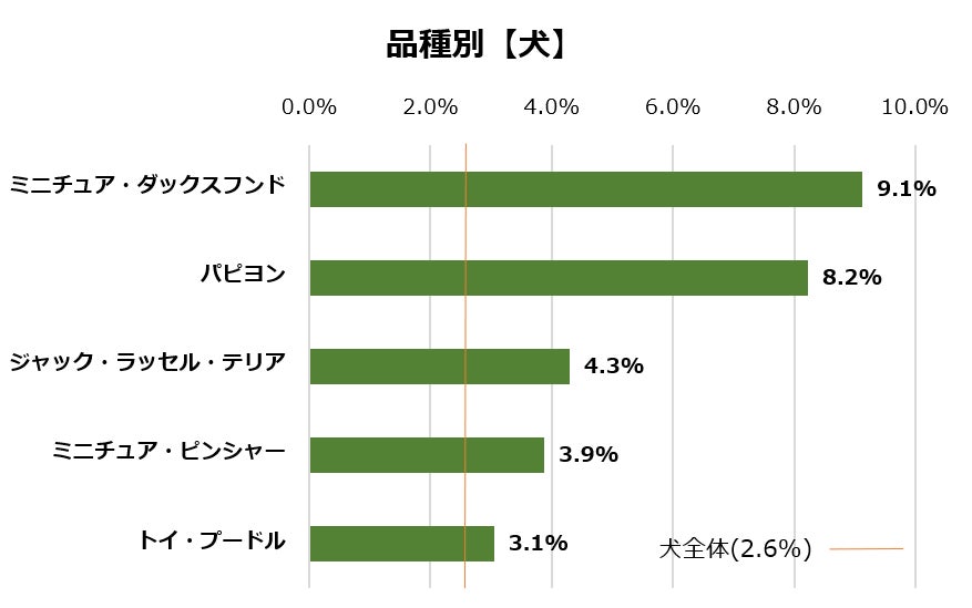 【9/18は敬老の日】最高齢は26歳の日本猫！『ご長寿アルバム』公開のサブ画像7
