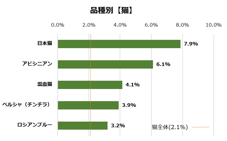 【9/18は敬老の日】最高齢は26歳の日本猫！『ご長寿アルバム』公開のサブ画像8
