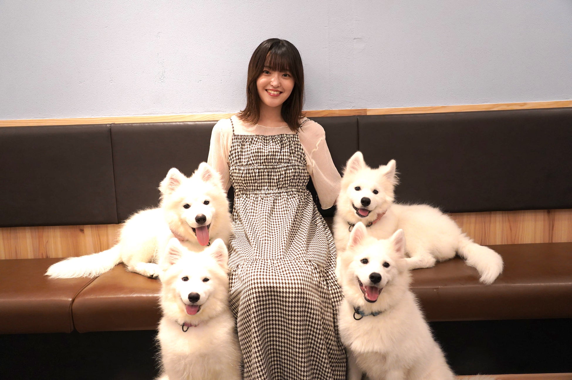 【覚悟を決めて来てください】可愛すぎて誰もが堕ちるサモエドカフェが駒沢大学駅にOPENのサブ画像1