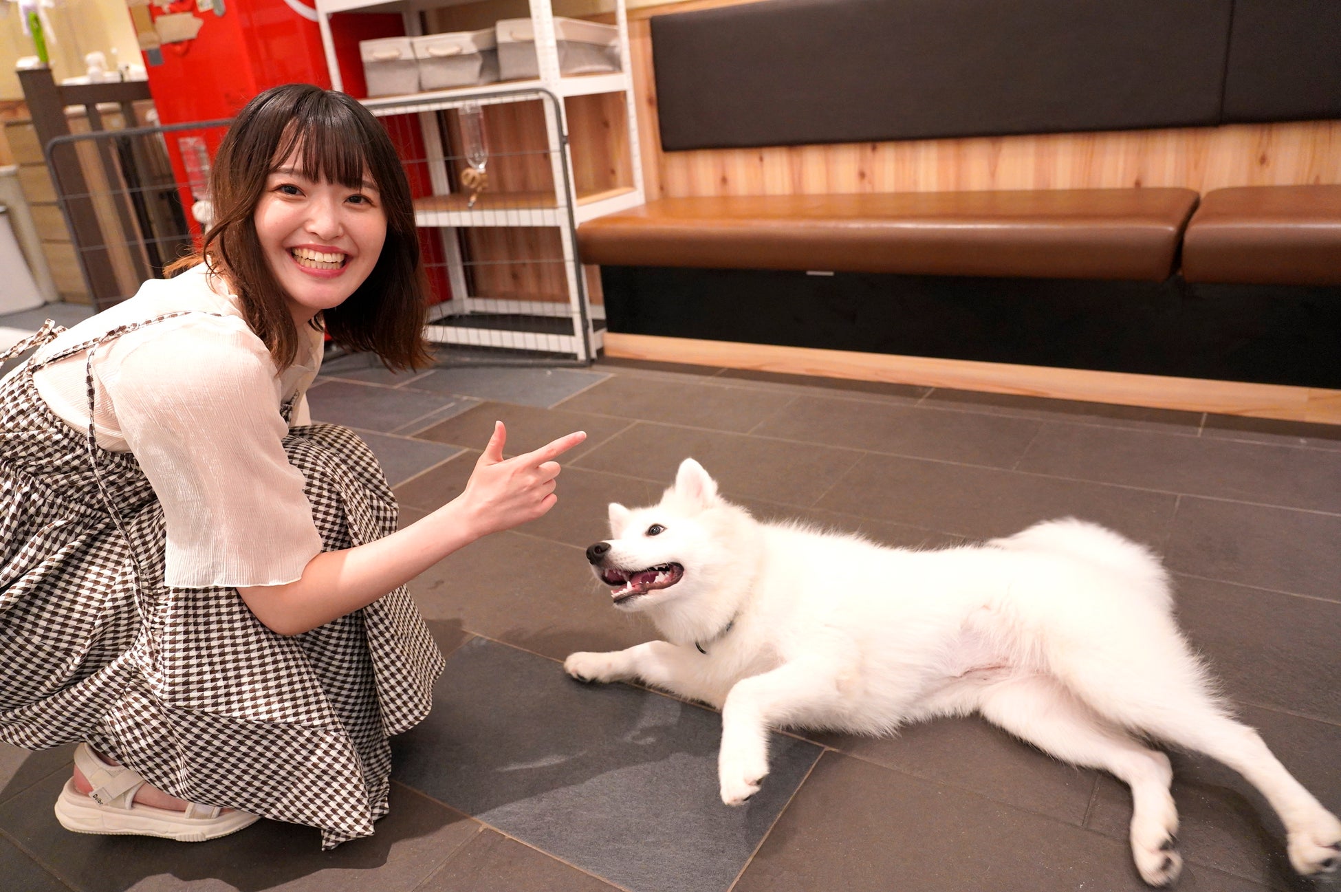 【覚悟を決めて来てください】可愛すぎて誰もが堕ちるサモエドカフェが駒沢大学駅にOPENのサブ画像6