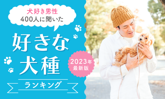 【犬好き男性400人に聞いた】好きな犬種ランキング！ 2023年最新版のメイン画像