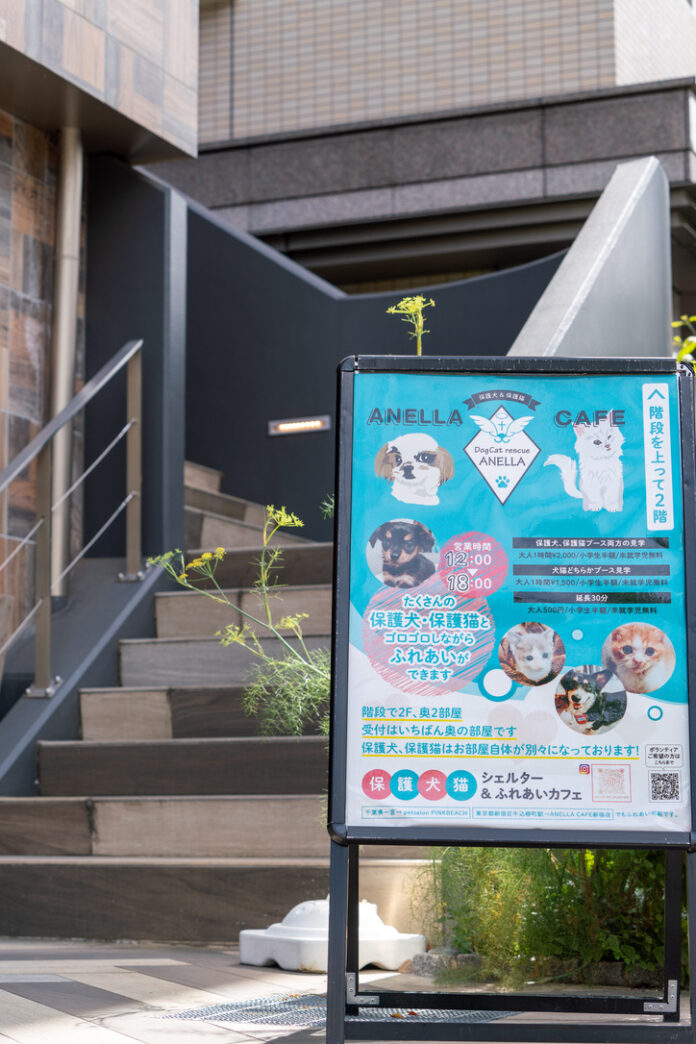 株式会社DT / DogCat rescue ANELLAが新たに挑戦する社会的新サービス「ANELLA就労継続支援B型」提供開始のメイン画像