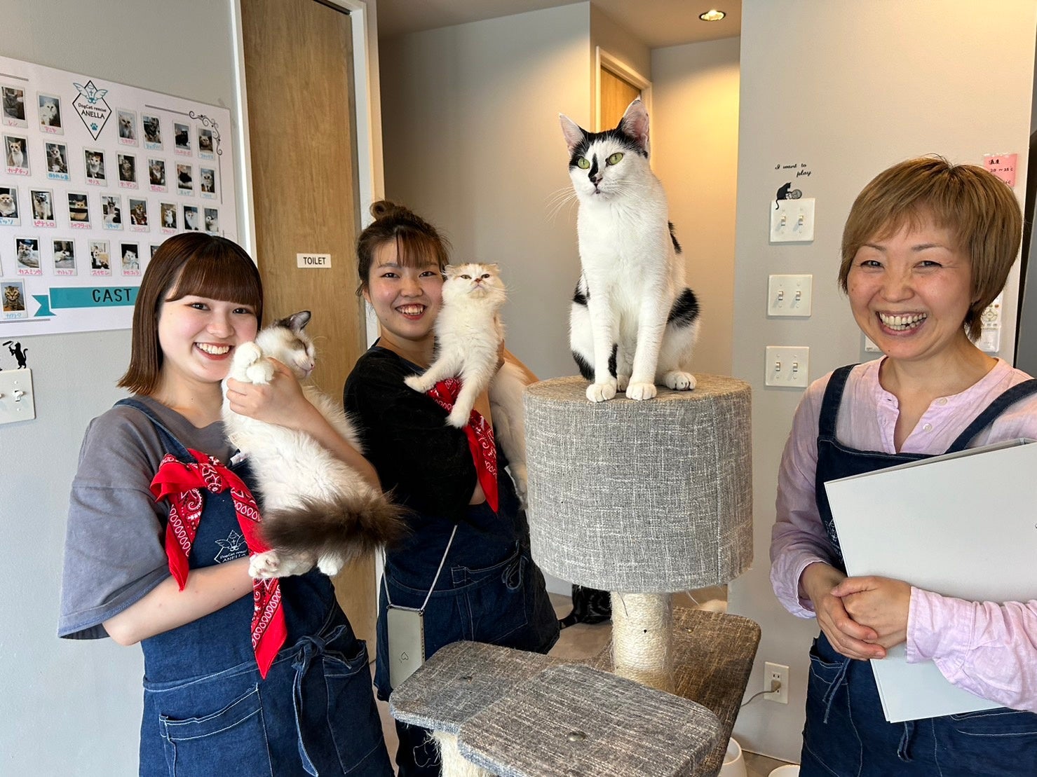 株式会社DT / DogCat rescue ANELLAが新たに挑戦する社会的新サービス「ANELLA就労継続支援B型」提供開始のサブ画像1
