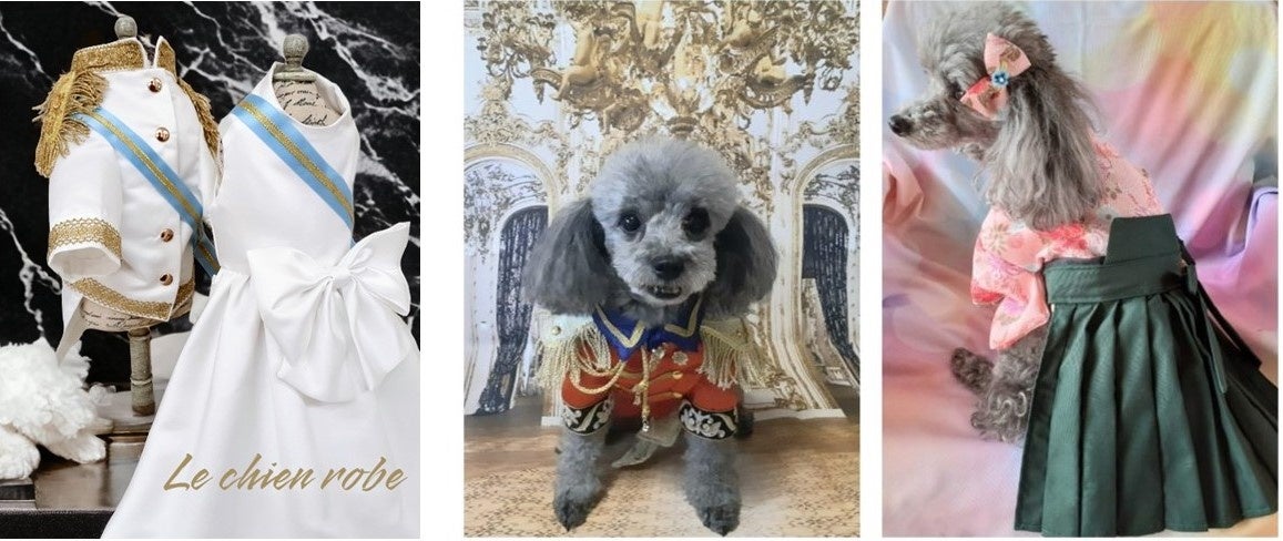 【阪急ハロードッグ】ワンちゃんもご一緒に！　愛犬愛猫との暮らしがもっと楽しく豊かになるヒントがいっぱい！　「阪急ハロードッグフェスタ 2023 秋」開催のサブ画像5