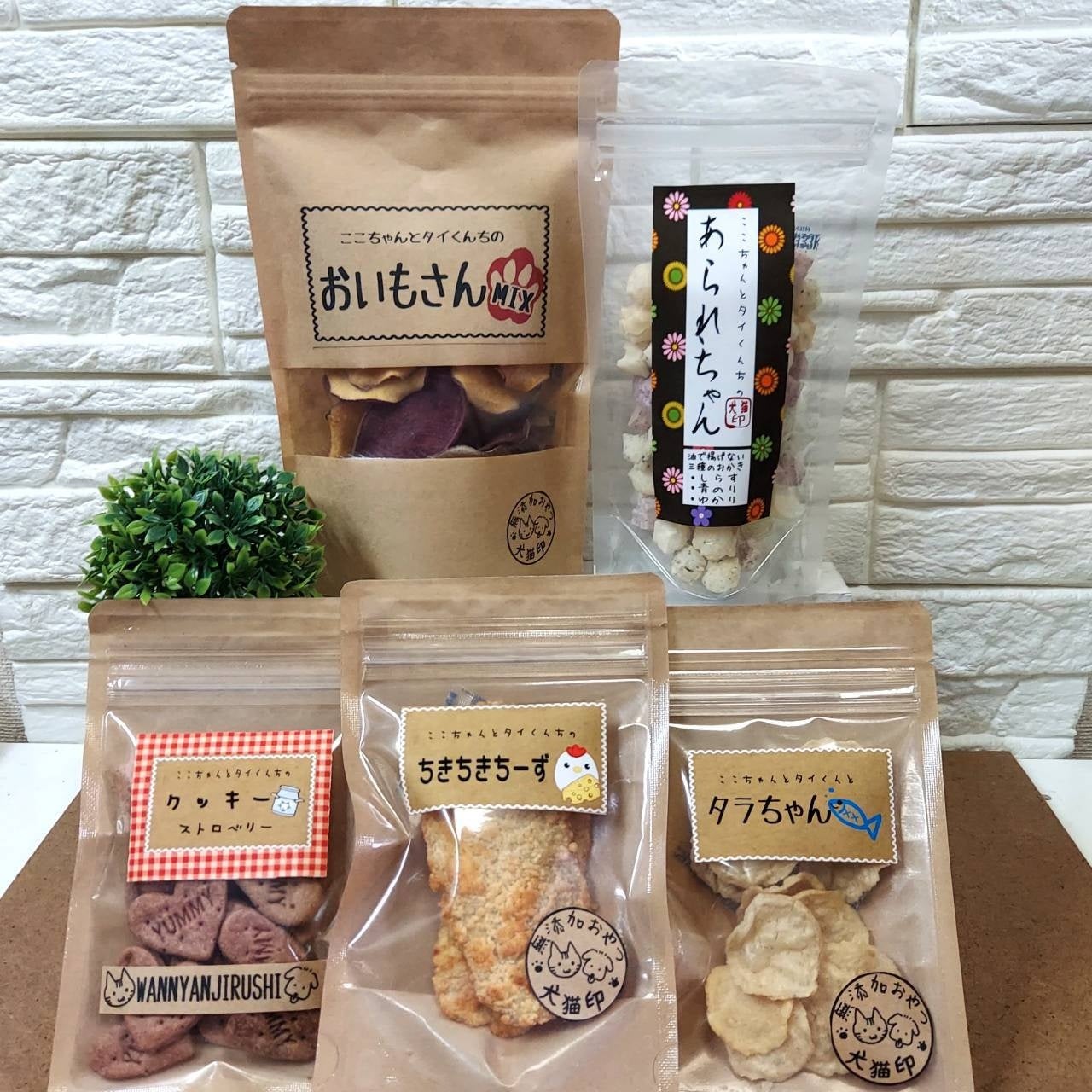 ～わんちゃんと一緒に楽しいお買い物♪～9月24日那須ハイランドパークで“DOGマルシェ”を開催！のサブ画像2