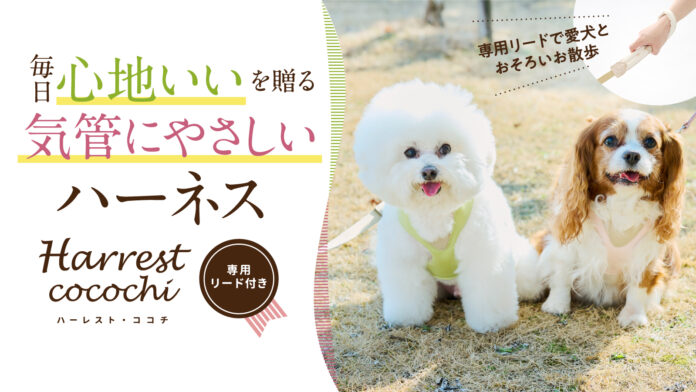 【Makuake553％達成！】気管を圧迫しないハーネス「アニサポハーレスト cocochi(ココチ)」の一般販売開始！のメイン画像
