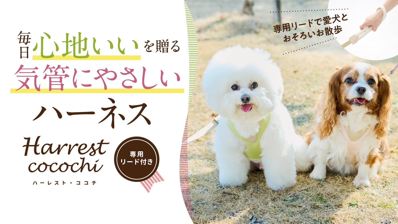 【Makuake553％達成！】気管を圧迫しないハーネス「アニサポハーレスト cocochi(ココチ)」の一般販売開始！のサブ画像1