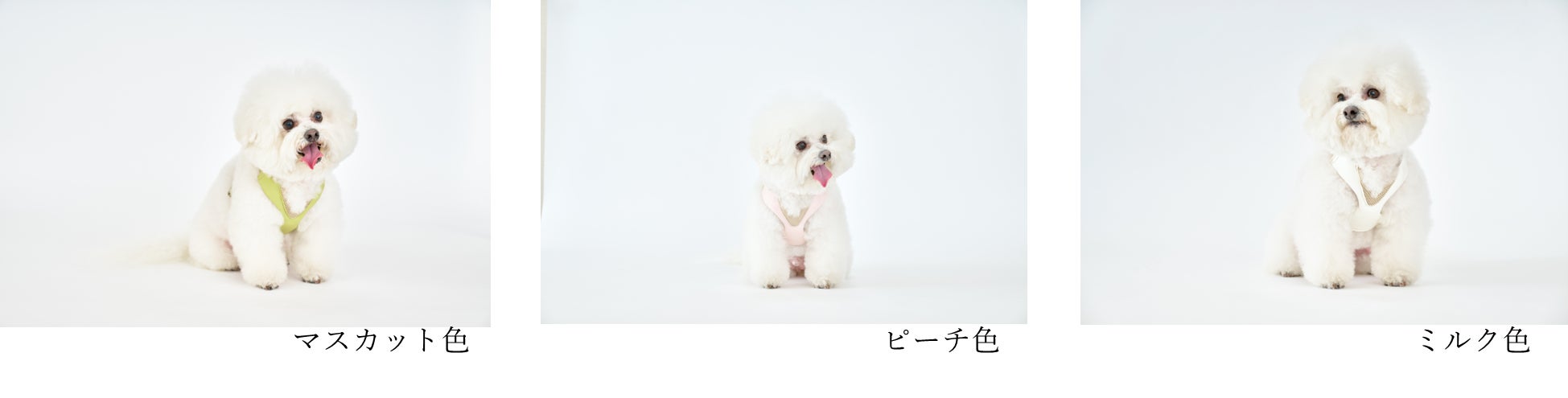 【Makuake553％達成！】気管を圧迫しないハーネス「アニサポハーレスト cocochi(ココチ)」の一般販売開始！のサブ画像8