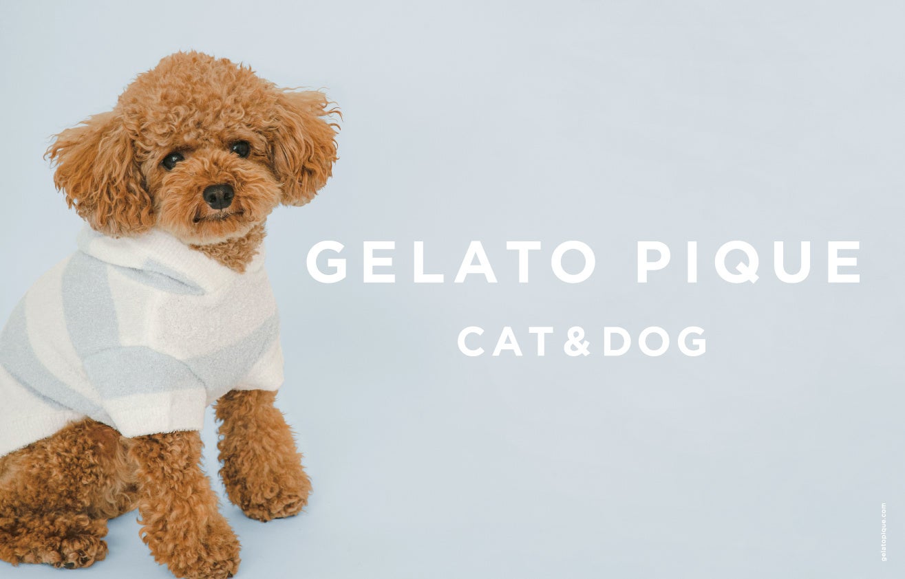 ヒルトン福岡シーホーク　オーシャンビューのお部屋で愛犬と楽しめる！朝食とgelato piqueの犬用ウェア付き期間限定ドッグプラン「PAWSOME STAY」 2023年9月22日（金）から販売開始のサブ画像5_ドッグ用パーカー　イメージ