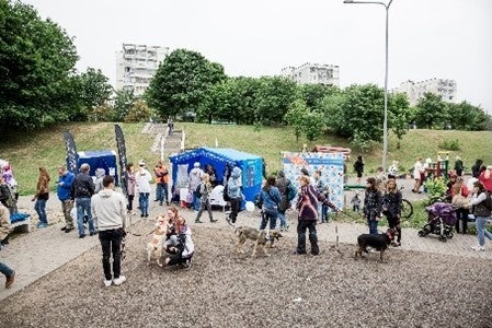 流山市総合運動公園にて、ドッグイベントを開催！「流山ドッグフェスティバル2023」10/7（土）～9（祝・月）の3日間のサブ画像2
