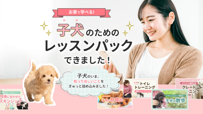 【愛犬の吠え・噛みは予防できる】約5,000件の犬のお悩み相談を基に開発！ワンデミーより「お家で学べるレッスンパック」モニター申し込み開始！のメイン画像