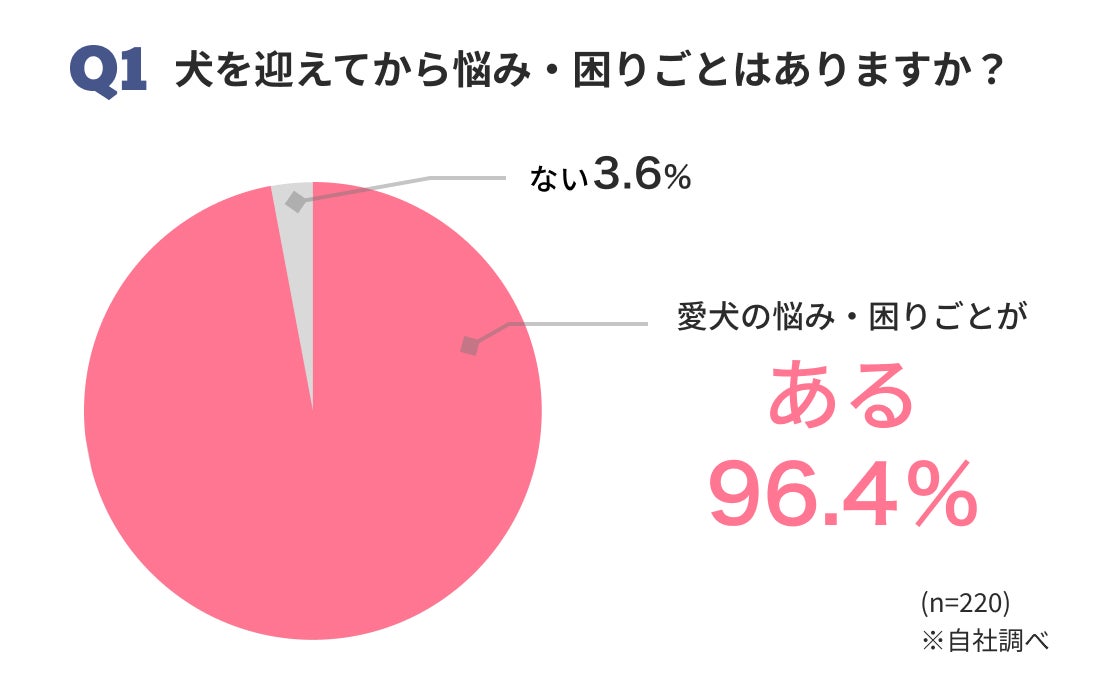 【愛犬の吠え・噛みは予防できる】約5,000件の犬のお悩み相談を基に開発！ワンデミーより「お家で学べるレッスンパック」モニター申し込み開始！のサブ画像2