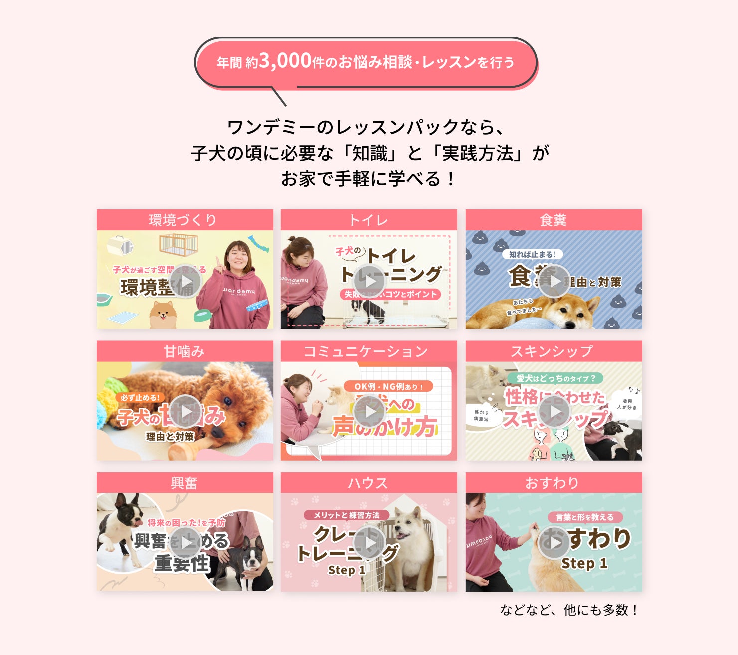 【愛犬の吠え・噛みは予防できる】約5,000件の犬のお悩み相談を基に開発！ワンデミーより「お家で学べるレッスンパック」モニター申し込み開始！のサブ画像4