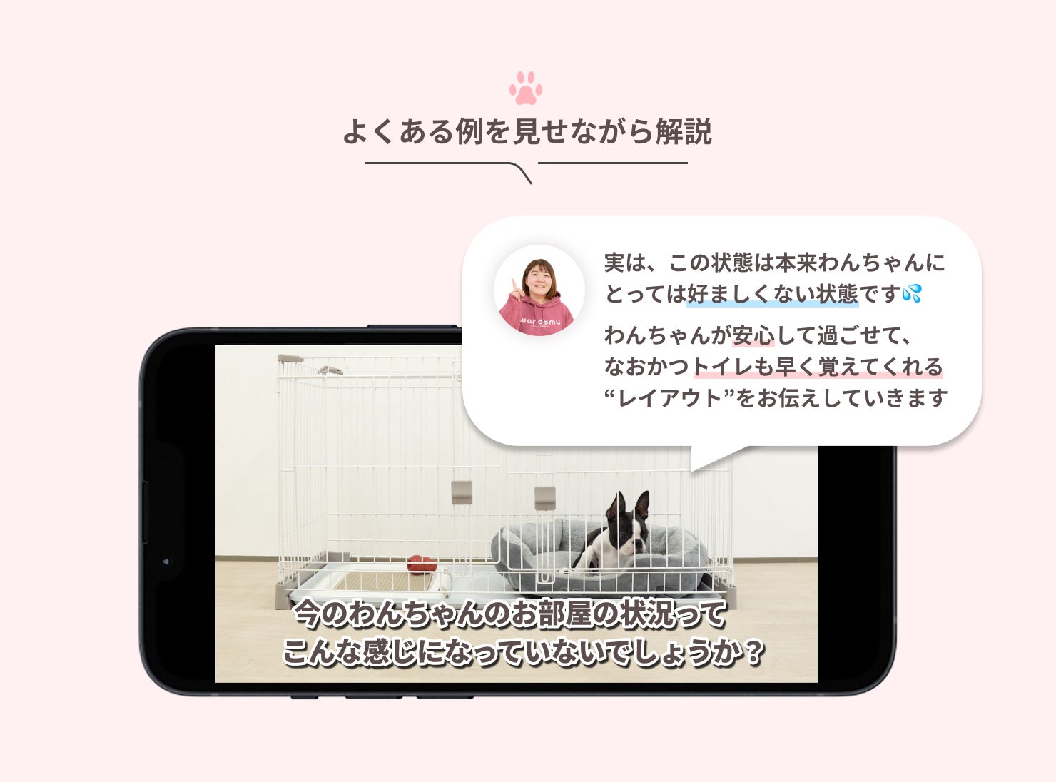 【愛犬の吠え・噛みは予防できる】約5,000件の犬のお悩み相談を基に開発！ワンデミーより「お家で学べるレッスンパック」モニター申し込み開始！のサブ画像6
