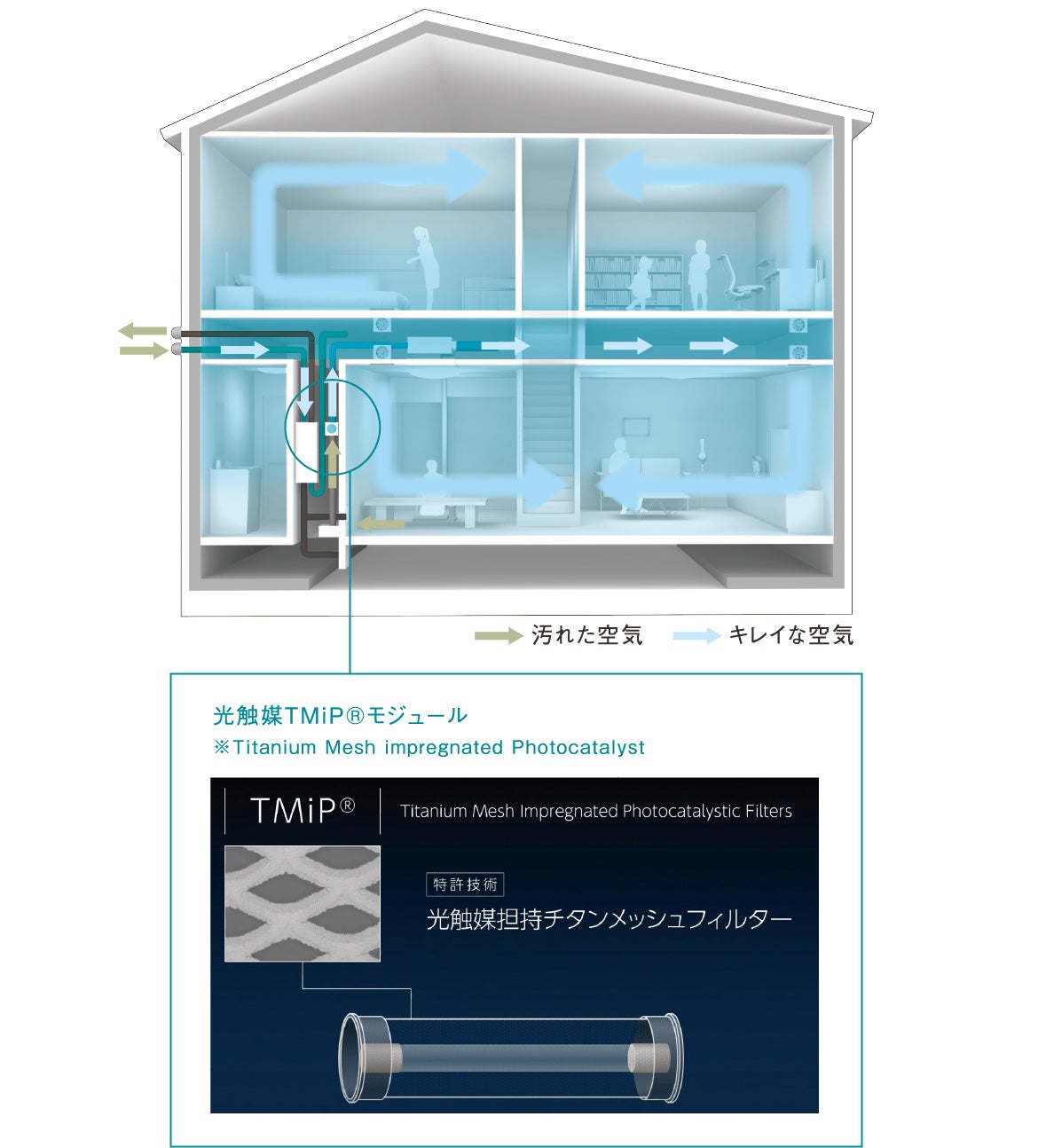ペットと住まいの臭いに関する調査報告書のサブ画像13