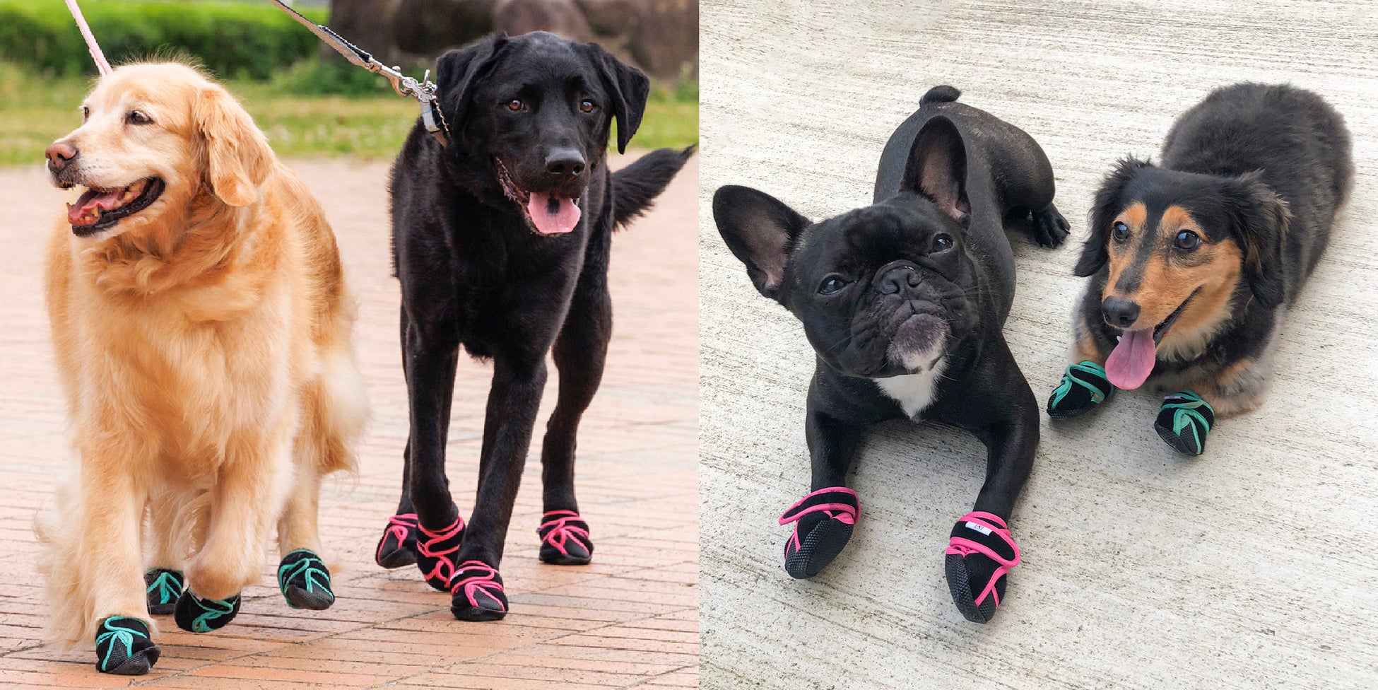 出荷台数１万個以上の犬用靴「いぬたび」に室内用が登場！のサブ画像5