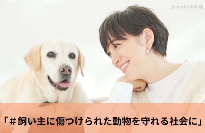 5年に一度！再来年は「動物愛護管理法」見直しの年　飼い主に傷つけられた動物を守れる社会にするため署名提出プロジェクトを開始のメイン画像