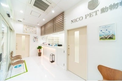スーパービバホーム豊洲店に総合ペット専門店のNICO PETをオープンのサブ画像4
