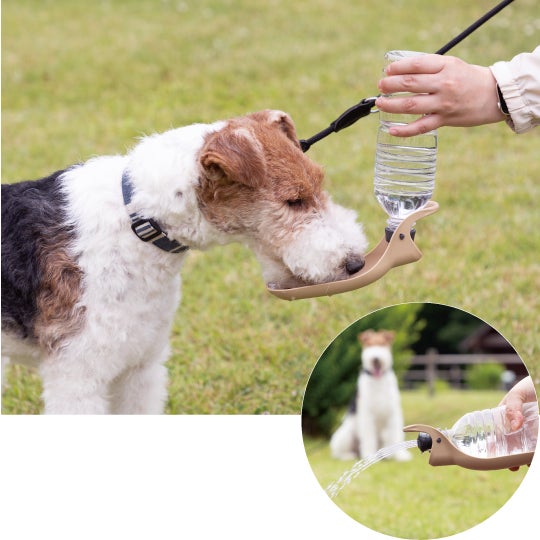 愛犬と一緒に、大自然へGO︕リッチェル初の犬用アウトドアブランド「マークタス」新登場。のサブ画像10