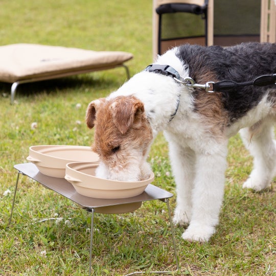 愛犬と一緒に、大自然へGO︕リッチェル初の犬用アウトドアブランド「マークタス」新登場。のサブ画像3