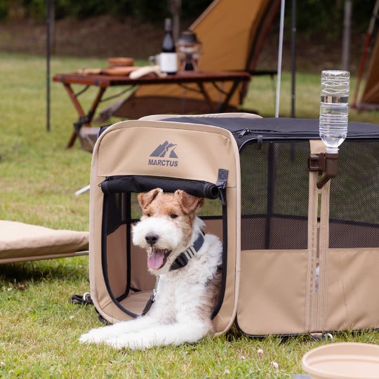 愛犬と一緒に、大自然へGO︕リッチェル初の犬用アウトドアブランド「マークタス」新登場。のサブ画像8
