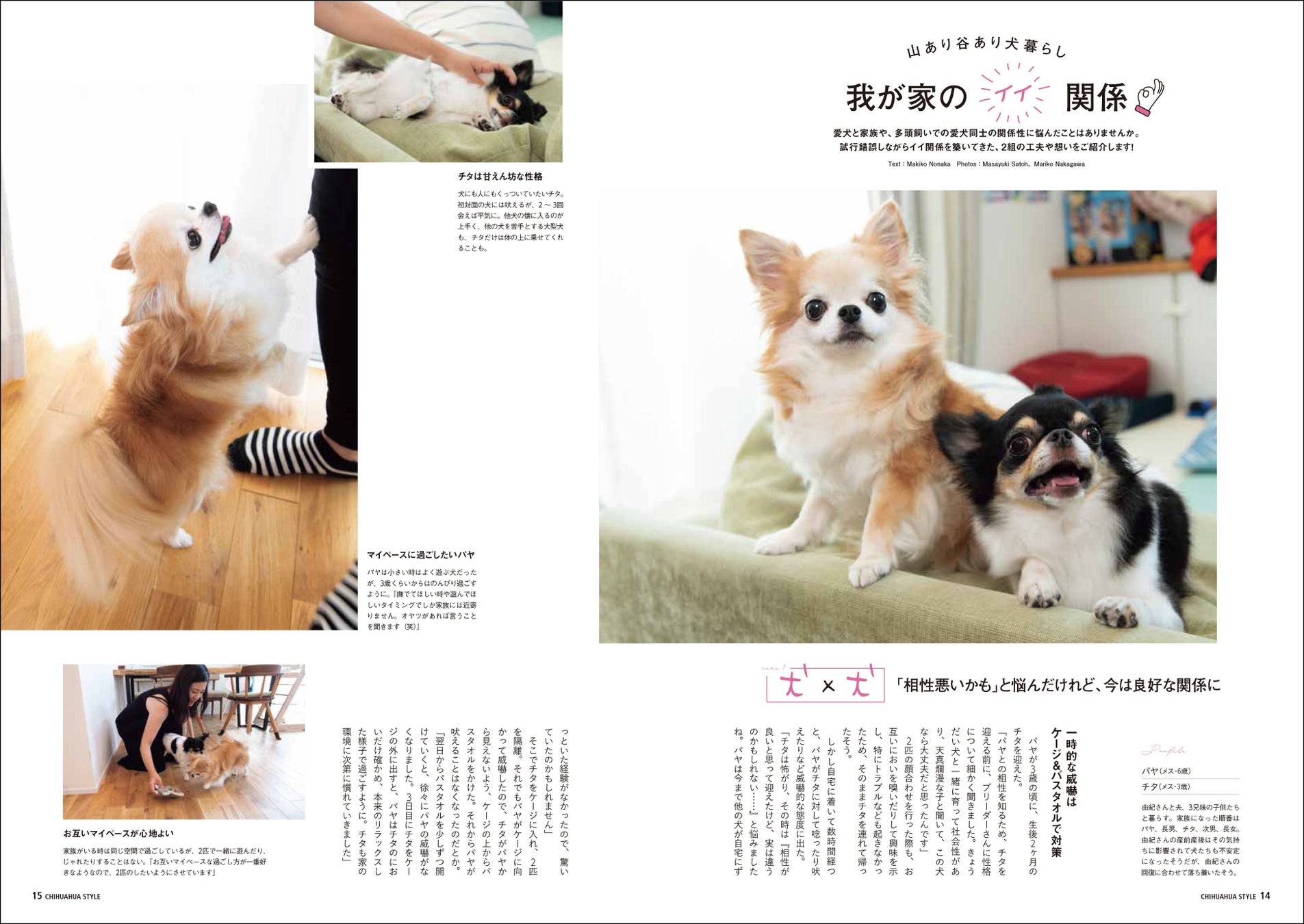 チワワともっと仲良くなるための「６つのルール」とは？ 今日から実践できる、関係見直しのメソッドを特集したチワワ専門誌『チワワstyle』最新号が9月15日（金）発売のサブ画像3