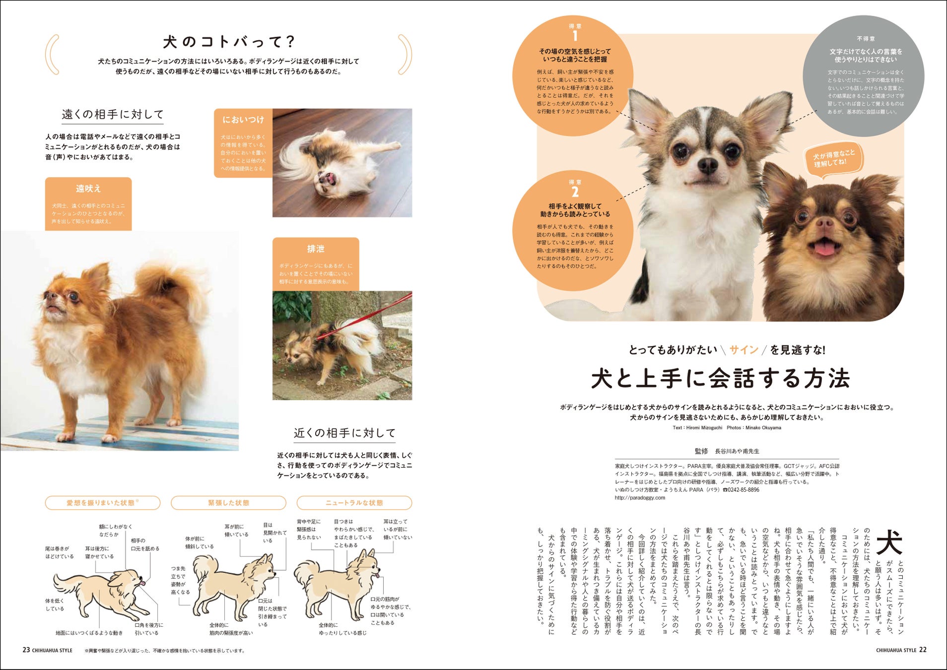 チワワともっと仲良くなるための「６つのルール」とは？ 今日から実践できる、関係見直しのメソッドを特集したチワワ専門誌『チワワstyle』最新号が9月15日（金）発売のサブ画像4
